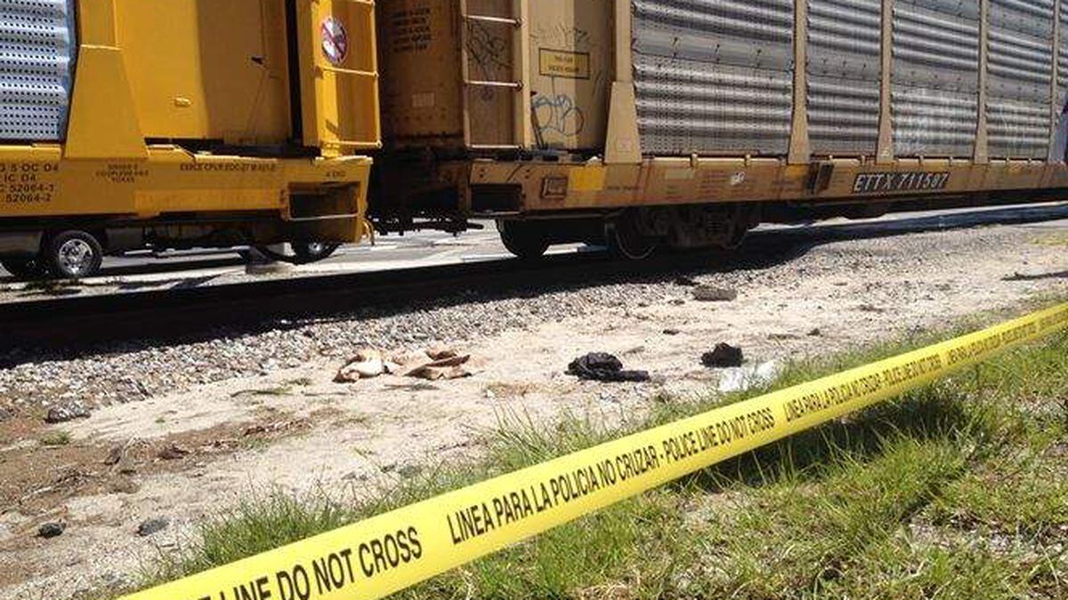 Pedestrian dies after being hit by train in Tampa