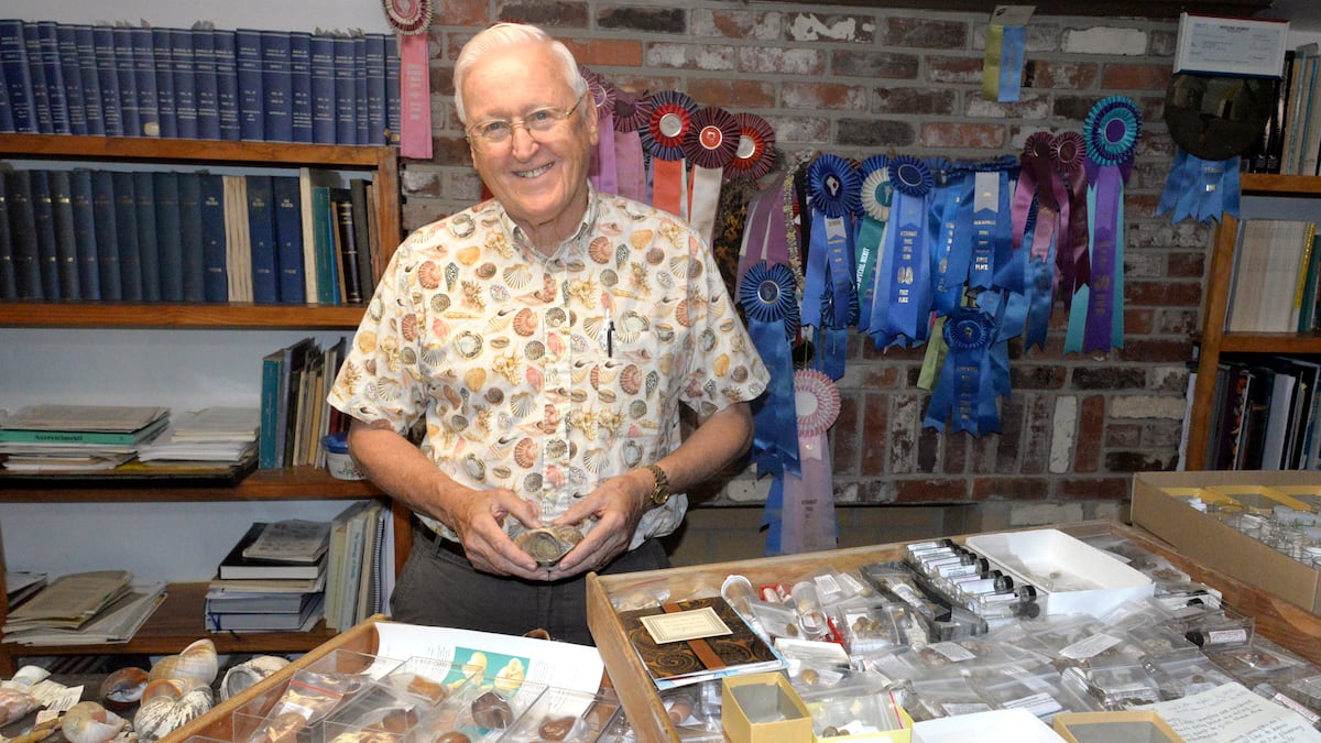 Bruce Lockyear Shell Florida man with largest private shell collection now ready to give it away