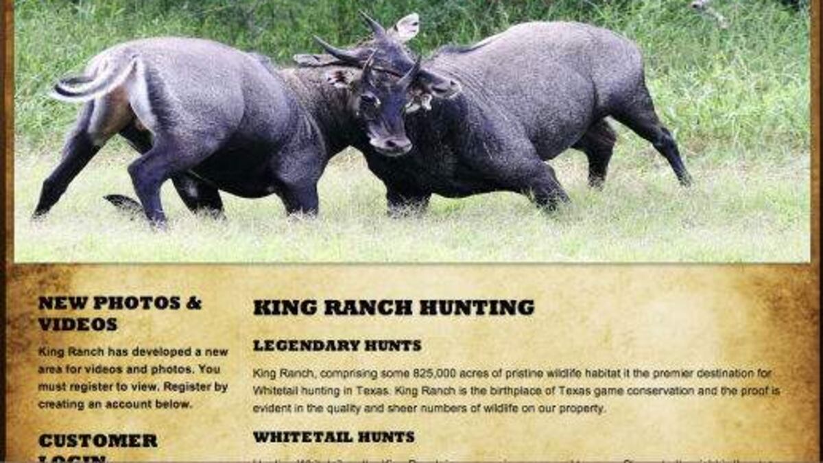 King Ranch Hunting Map Why won't Florida GOP leaders talk about hunting trips to King Ranch in ...