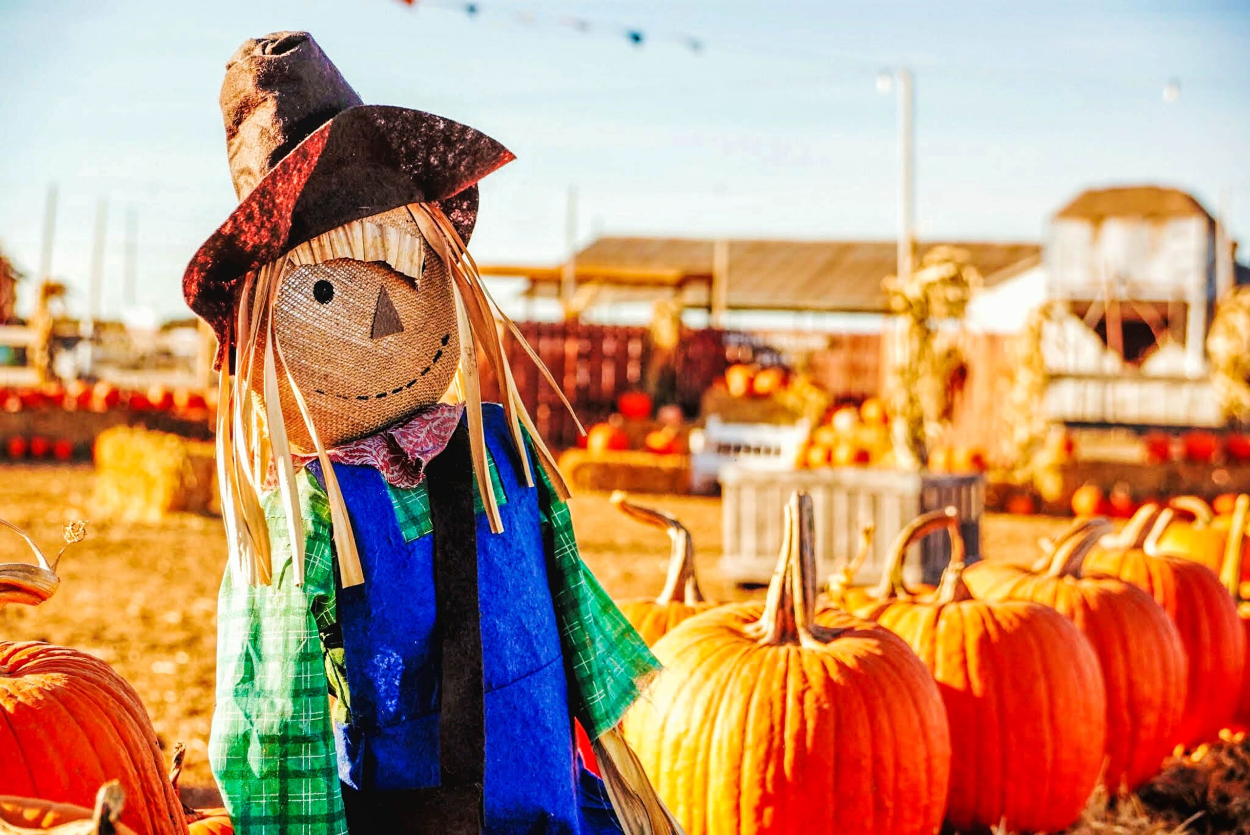 Things to do around Pasco: Oct. 8-14