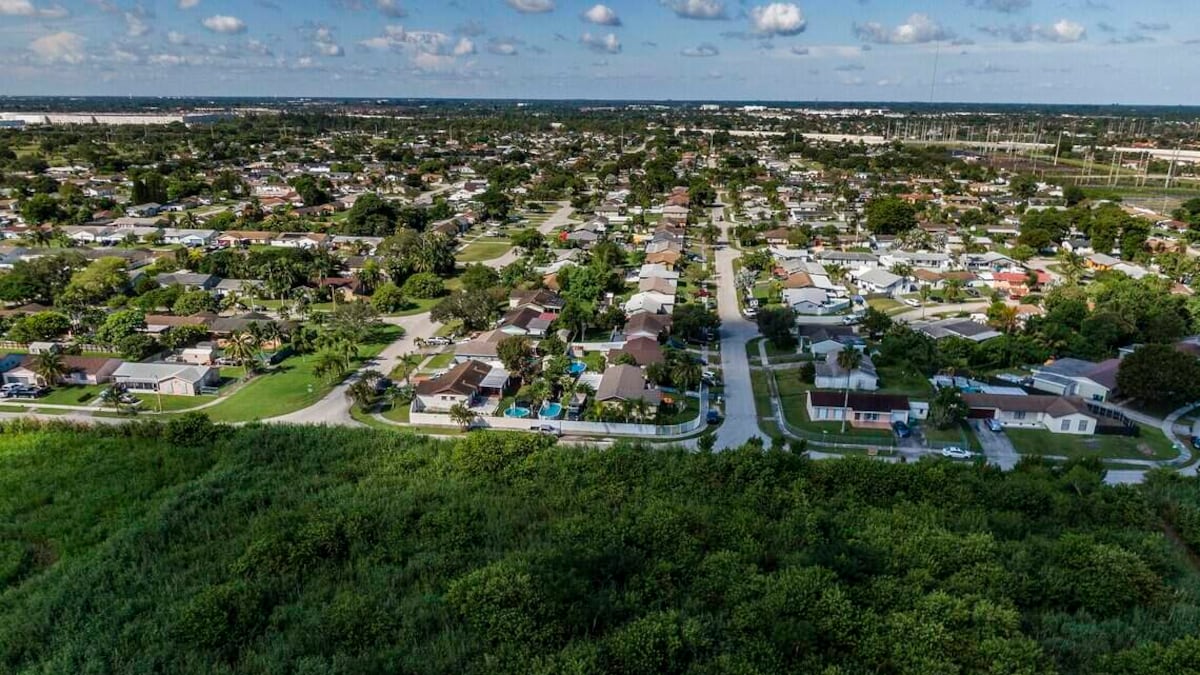 Florida is a national ‘hot spot’ for forest loss. What’s replacing the trees?