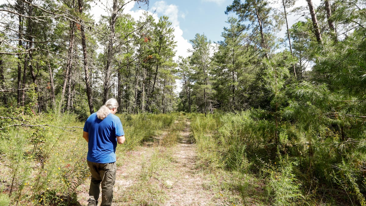 Could the deal to give protected Florida forest land to a golf company be ...