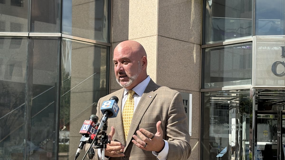 Florida DOGE finding ‘egregious’ government waste, fraud, abuse, CFO says