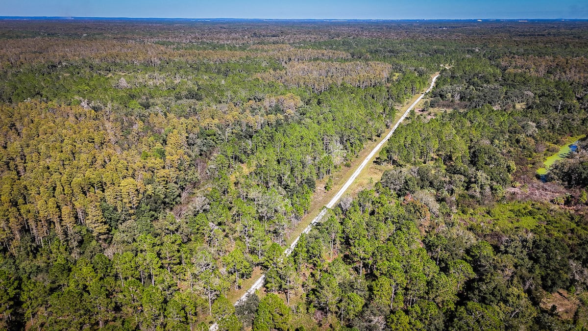 67-acre purchase is ‘a major win for local wildlife,’ Pasco says