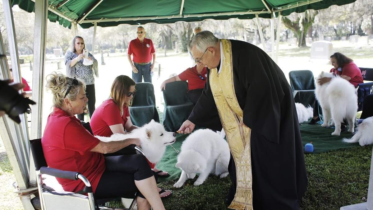 Princess Samoy Samoyed fans gather at Tampa grave of Belgian princess who popularized ...