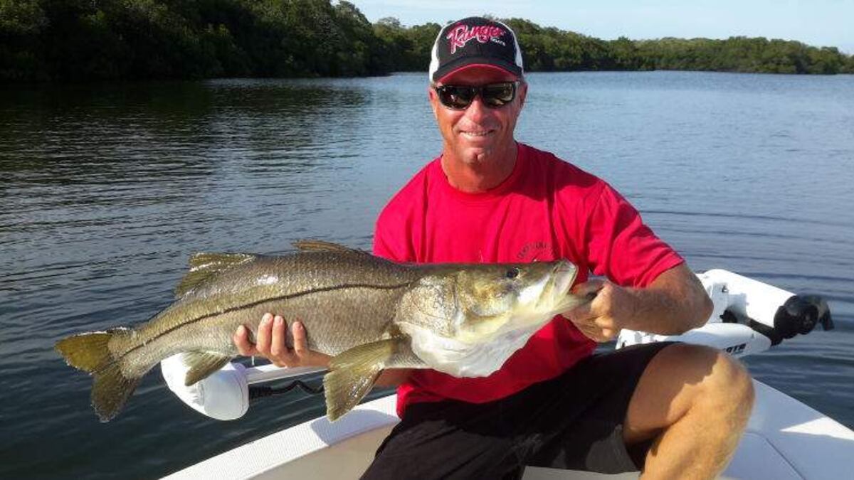 Snook Life Snook season back in session