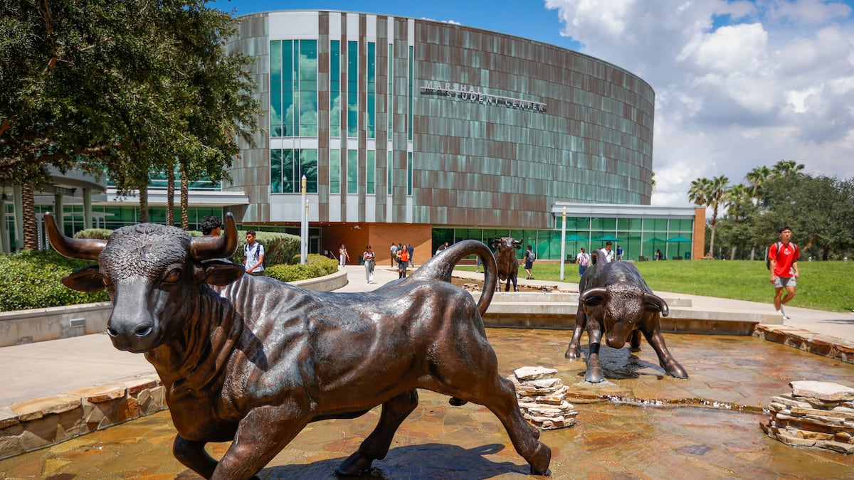 Usf Clock USF offers free course on introduction to artificial intelligence