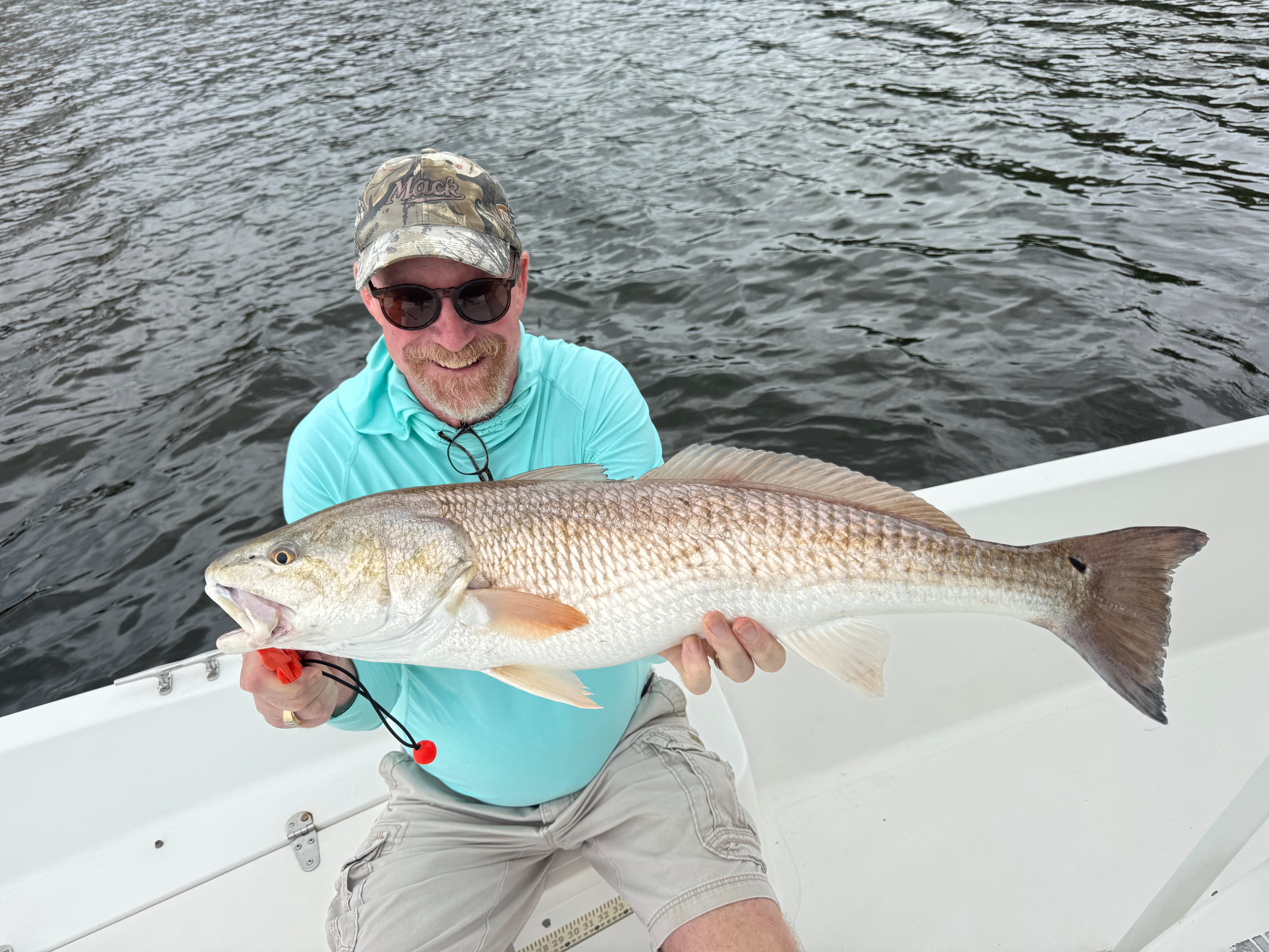 The Tampa Bay Fishin’ Report: Snook, redfish numbers are up