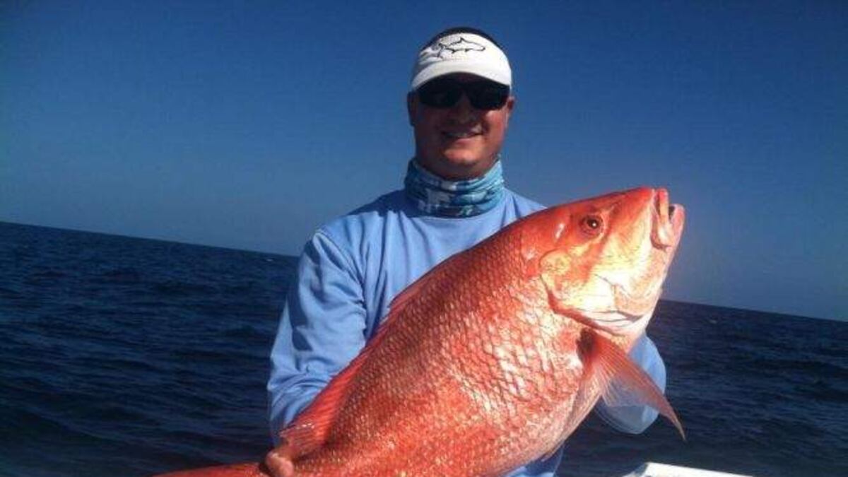 Bennett Snapper Delicious but contentious tale of red snapper