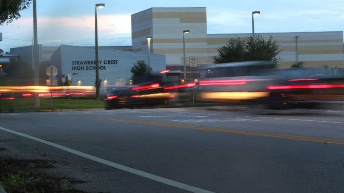 Hillsborough schools net record results in AP, IB testing