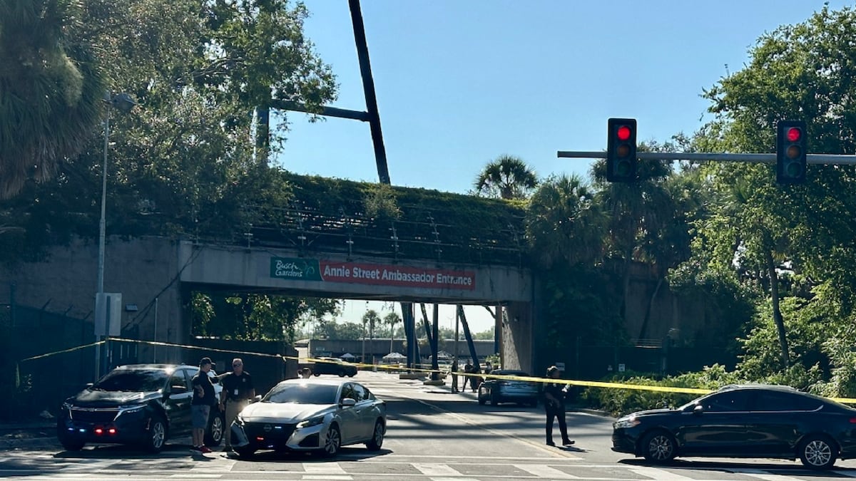 Tampa police officer wounded in shooting near Busch Gardens