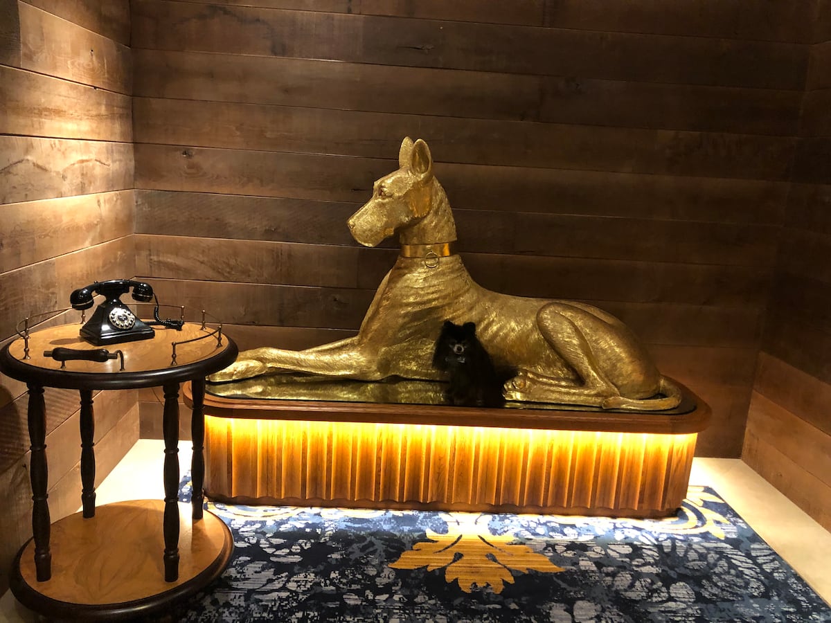 Can you spot the real dog? Rocket, a Pomeranian, sits with a dog statue inside The Ben.